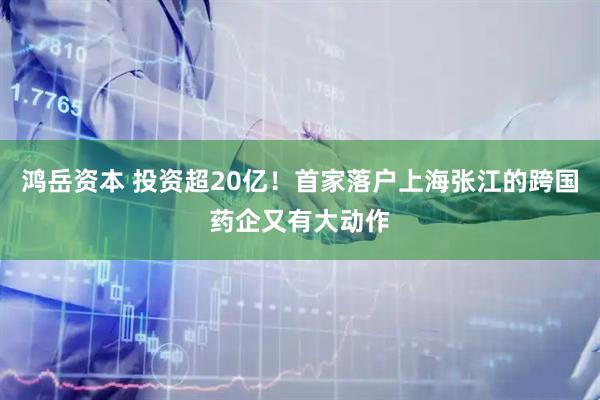 鸿岳资本 投资超20亿！首家落户上海张江的跨国药企又有大动作