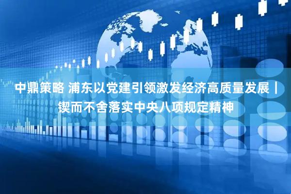 中鼎策略 浦东以党建引领激发经济高质量发展｜锲而不舍落实中央八项规定精神