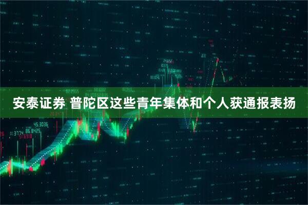 安泰证券 普陀区这些青年集体和个人获通报表扬