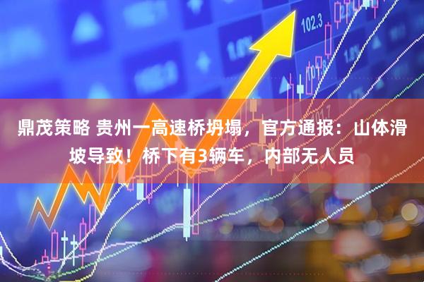 鼎茂策略 贵州一高速桥坍塌,官方通报:山体滑坡导致!桥下有3辆车,内部无人员