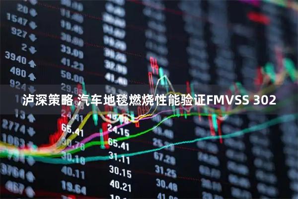 泸深策略 汽车地毯燃烧性能验证FMVSS 302