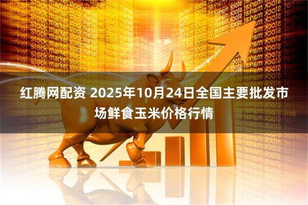 红腾网配资 2025年10月24日全国主要批发市场鲜食玉米价格行情