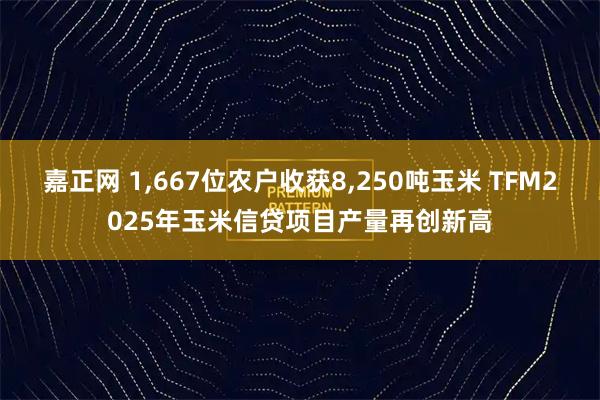 嘉正网 1,667位农户收获8,250吨玉米 TFM2025年玉米信贷项目产量再创新高