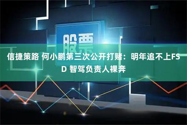 信捷策路 何小鹏第三次公开打赌：明年追不上FSD 智驾负责人裸奔